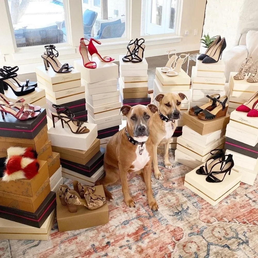 FOLLOW MY CUTE PAWSH ASSISTANTS! 🐶🐶🛍👑🐝 - Picture 3 of 16